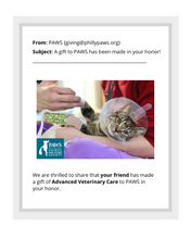 Load image into Gallery viewer, Advanced Veterinary Care