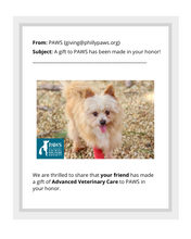 Load image into Gallery viewer, Advanced Veterinary Care