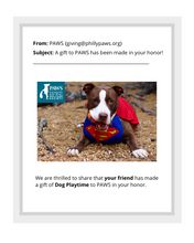 Load image into Gallery viewer, Dog Playtime