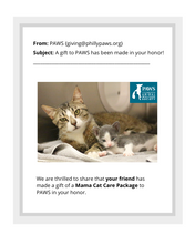 Load image into Gallery viewer, Mama Cat Care Package