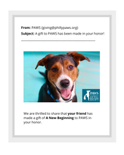 Load image into Gallery viewer, A New Beginning