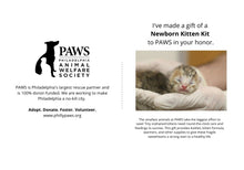 Load image into Gallery viewer, Newborn Kitten Kit