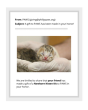 Load image into Gallery viewer, Newborn Kitten Kit
