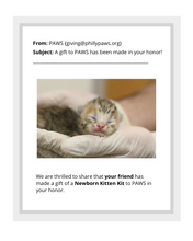 Load image into Gallery viewer, Newborn Kitten Kit
